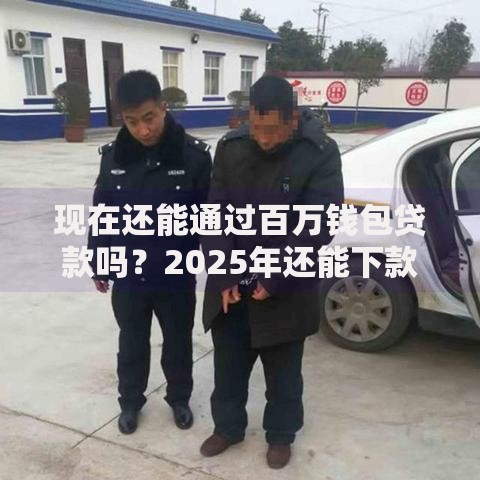 现在还能通过百万钱包贷款吗？2025年还能下款吗？政策与市场解析