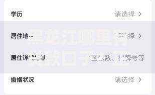 黑龙江哪里有贷款口子？正规渠道及申请流程全解析