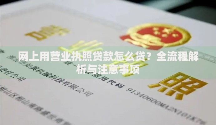 网上用营业执照贷款怎么贷？全流程解析与注意事项