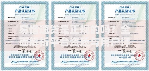 易借速贷是正规的吗？全面解析平台资质与用户评价