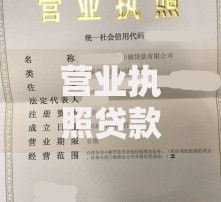 营业执照贷款哪个平台好个体商户贷款？正规渠道解析