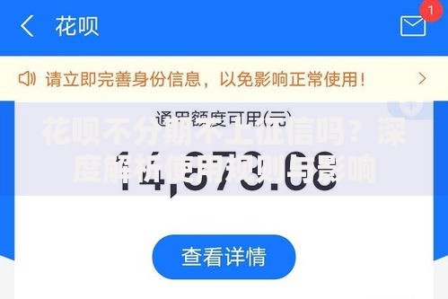 花呗不分期不上征信吗？深度解析使用规则与影响