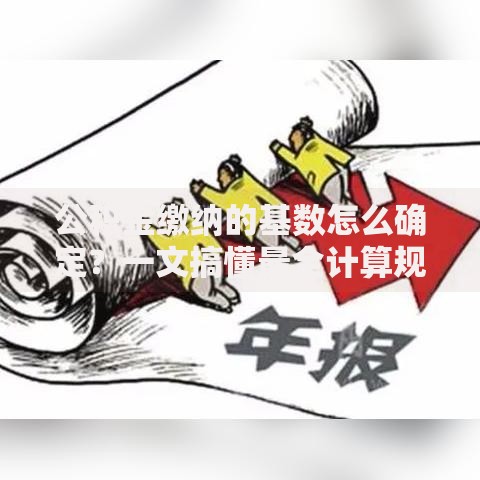 公积金缴纳的基数怎么确定？一文搞懂最全计算规则