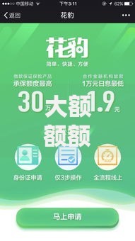 大额额额借款口子如何申请？安全渠道与额度提升全解析