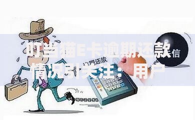 叮当猫E卡逾期还款情况引关注：用户该如何应对风险？
