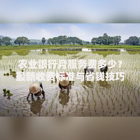 农业银行月服务费多少？最新收费标准与省钱技巧一览