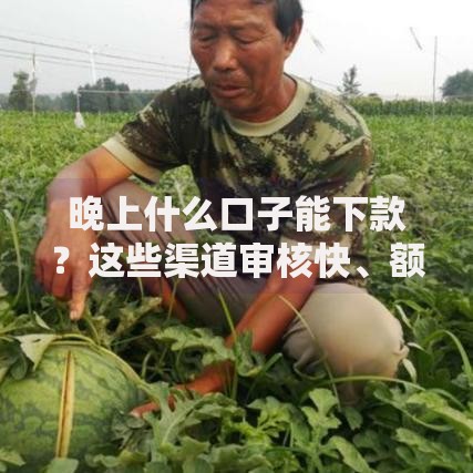 晚上什么口子能下款？这些渠道审核快、额度高