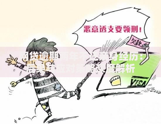 网贷逾期两年不还亲身经历:后果与应对策略深度解析 网贷逾期两年不还亲身经历:后果与应对策略深度解析