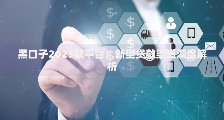 黑口子2025款平台：新型贷款渠道深度解析