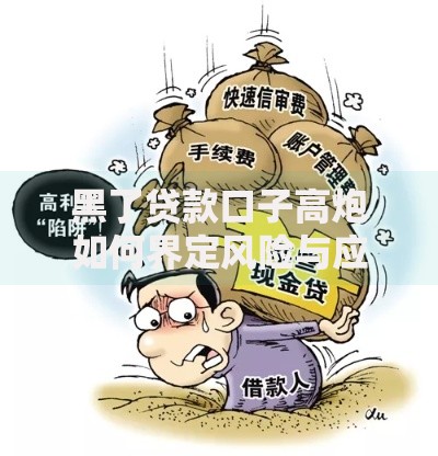 黑了贷款口子高炮如何界定风险与应对策略
