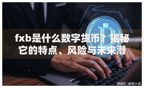 fxb是什么数字货币？揭秘它的特点、风险与未来潜力