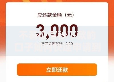 不看征信秒下款的口子如何快速申请到账