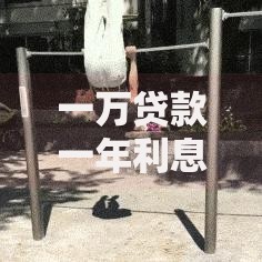 一万贷款一年利息是多少？算清这笔账让你少花冤枉钱