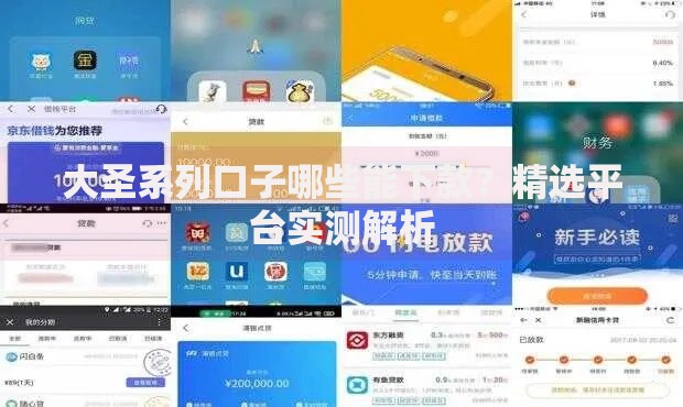 大圣系列口子哪些能下款？精选平台实测解析