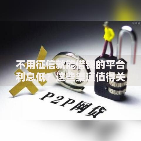 不用征信就能借钱的平台利息低？这些渠道值得关注