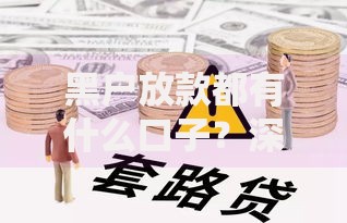 黑户放款都有什么口子？深度解析可靠渠道与风险应对