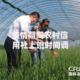 疫情期间农村信用社上班时间调整安排与注意事项