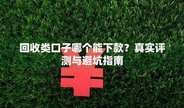 回收类口子哪个能下款？真实评测与避坑指南