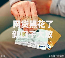 网贷黑花了新口子大放水：风险与机会深度解析