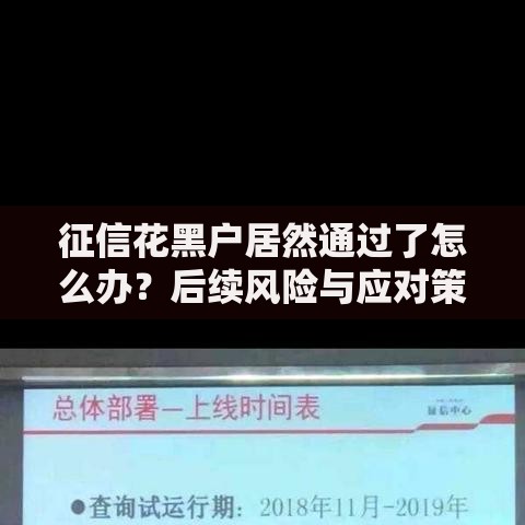 征信花黑户居然通过了怎么办？后续风险与应对策略
