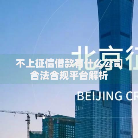不上征信借款有什么公司合法合规平台解析