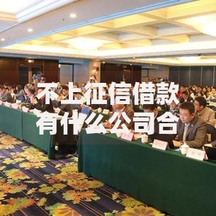 不上征信借款有什么公司合法合规平台解析