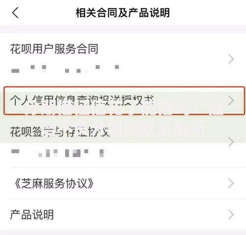 分期借征信花了能借吗？征信不良分期借款全解析