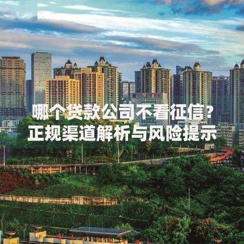 哪个贷款公司不看征信？正规渠道解析与风险提示