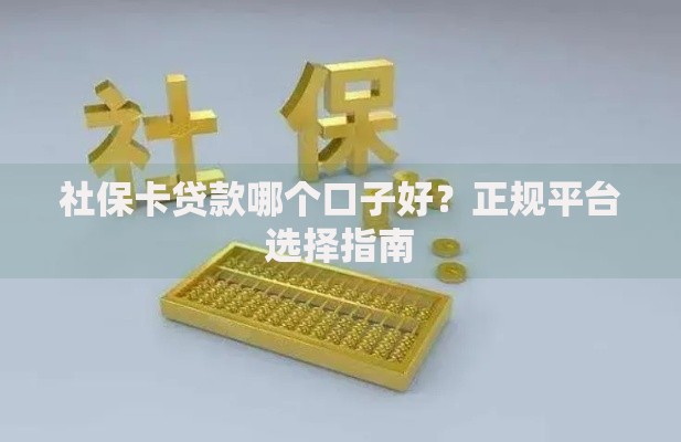 社保卡贷款哪个口子好？正规平台选择指南