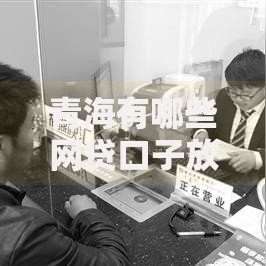 青海有哪些网贷口子放款？如何选择正规平台