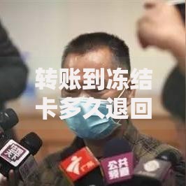 转账到冻结卡多久退回？解答资金到账时间与处理流程