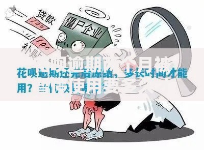 花呗逾期两个月被暂停使用要多久才能恢复？解冻时间与信用修复全攻略