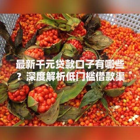 最新千元贷款口子有哪些？深度解析低门槛借款渠道