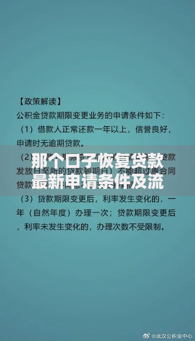 那个口子恢复贷款最新申请条件及流程解析