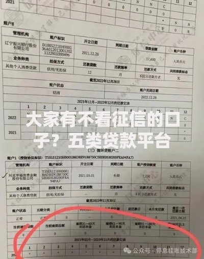 大家有不看征信的口子？五类贷款平台申请条件解析