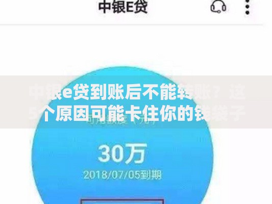 中银e贷到账后不能转账？这5个原因可能卡住你的钱袋子