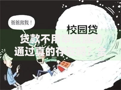 贷款不用审核直接通过真的存在吗？全面解析无审核贷款真相