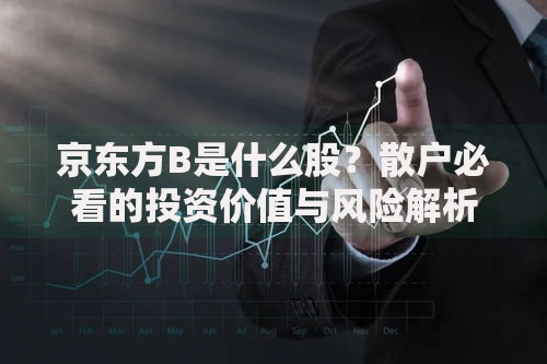 京东方B是什么股？散户必看的投资价值与风险解析