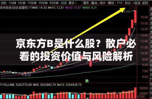 京东方B是什么股？散户必看的投资价值与风险解析