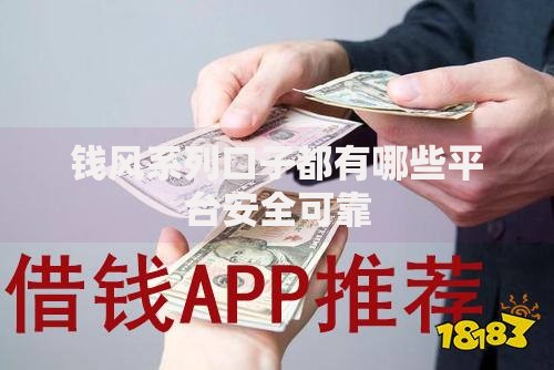 钱风系列口子都有哪些平台安全可靠
