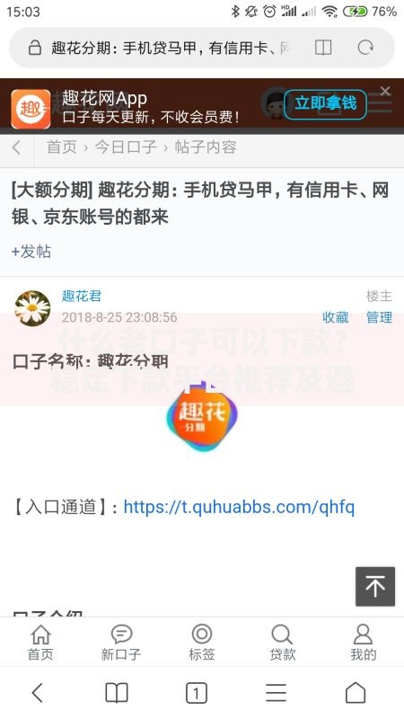 什么老口子可以下款？稳定下款平台推荐及避坑指南