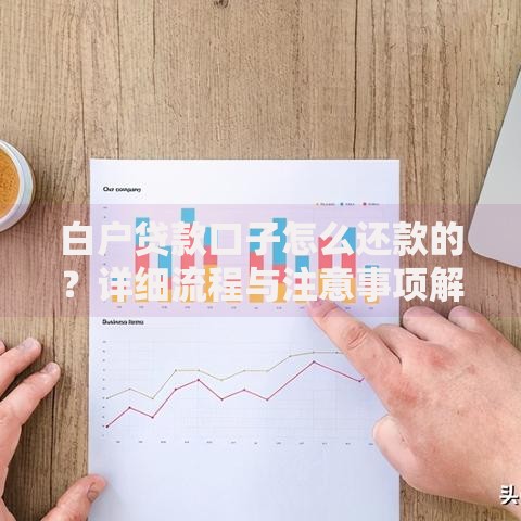 白户贷款口子怎么还款的？详细流程与注意事项解析