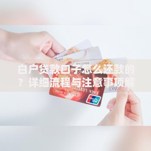 白户贷款口子怎么还款的？详细流程与注意事项解析