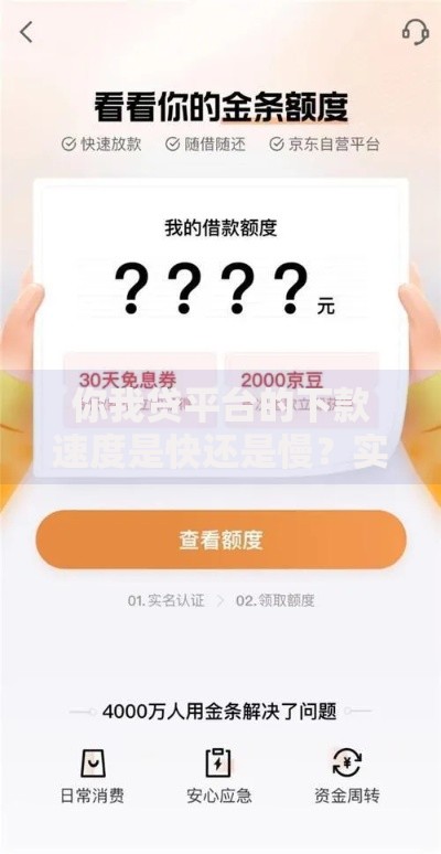 你我贷平台的下款速度是快还是慢？实测解析与用户反馈
