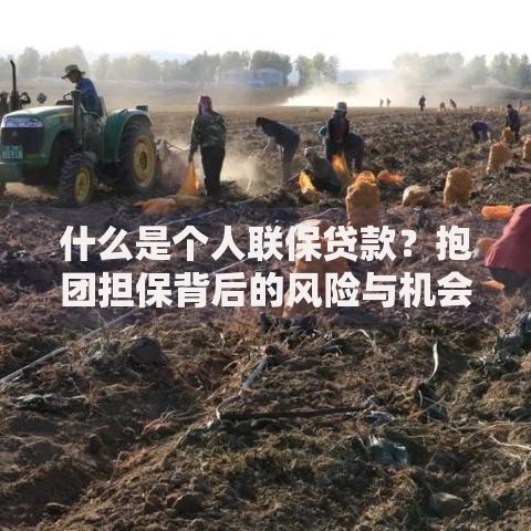 什么是个人联保贷款？抱团担保背后的风险与机会