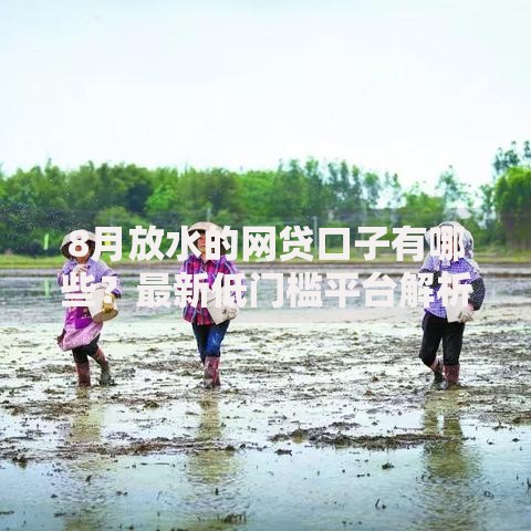 8月放水的网贷口子有哪些？最新低门槛平台解析