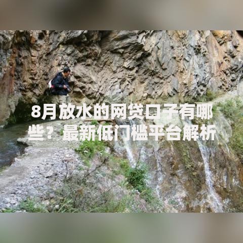 8月放水的网贷口子有哪些？最新低门槛平台解析