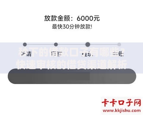 秒下的借款口子有哪些？快速审核的借贷渠道解析