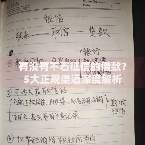有没有不看征信的借款？5大正规渠道深度解析