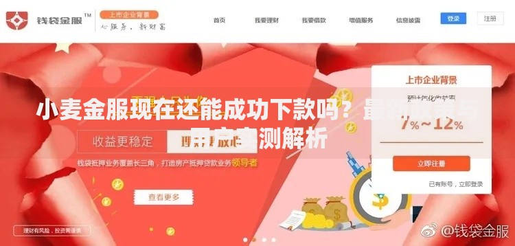 小麦金服现在还能成功下款吗？最新政策与用户实测解析